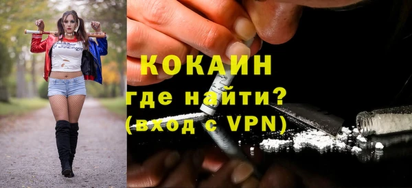 ПСИЛОЦИБИНОВЫЕ ГРИБЫ Ельня