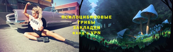 гидропоника Елизово