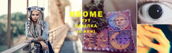 ПСИЛОЦИБИНОВЫЕ ГРИБЫ Ельня