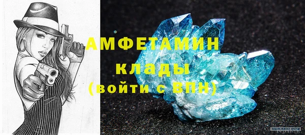 ПСИЛОЦИБИНОВЫЕ ГРИБЫ Ельня