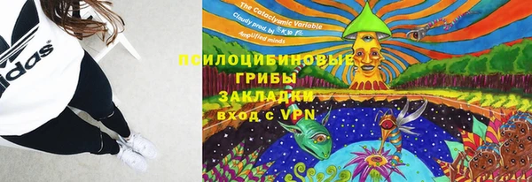 твердый Елабуга