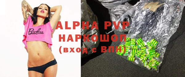 ПСИЛОЦИБИНОВЫЕ ГРИБЫ Ельня