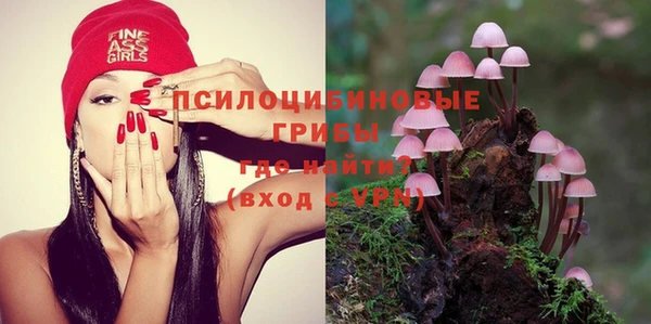 ПСИЛОЦИБИНОВЫЕ ГРИБЫ Ельня